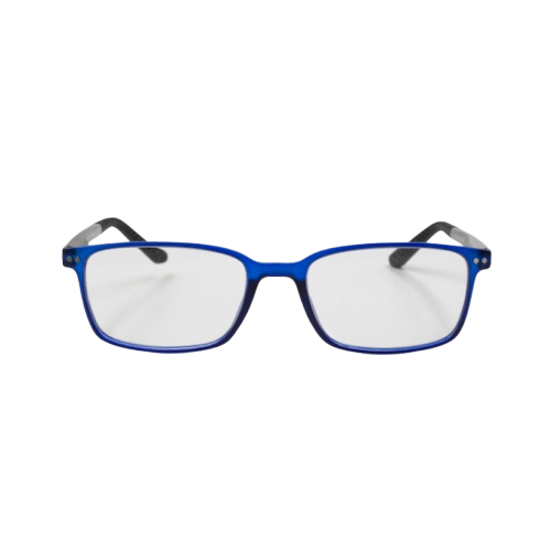 Frog Optical Γυαλιά Πρεσβυωπίας F238 Χρώμα Μπλε/Γκρι +1.00